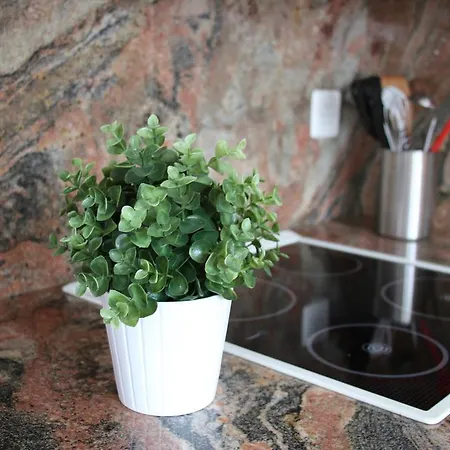 Casa Stella Saas-Grund