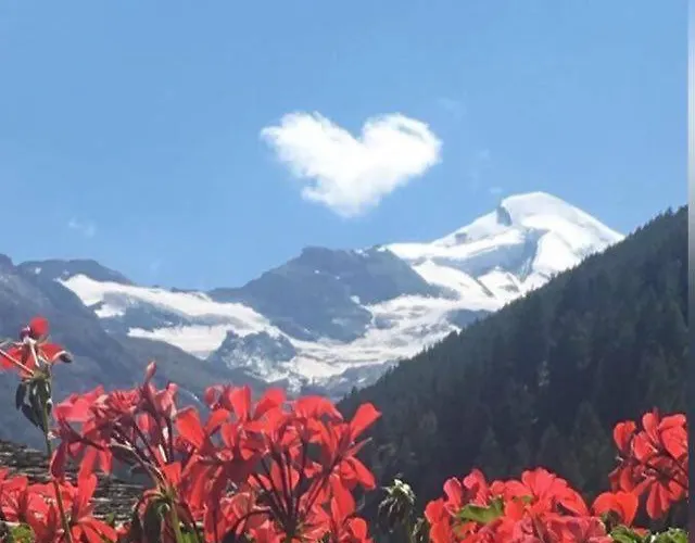 Apartament Casa Stella *